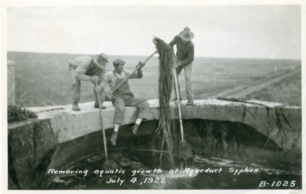Three men standing on top of the siphon removing the aquatic growth with weed hooks.
