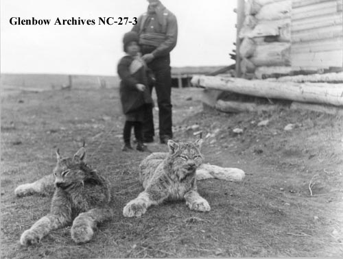 Charles and George Perrenoud with lynx, 1890s.