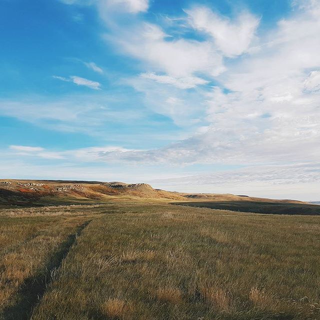 View looking across the fields below the cliff at Head-Smashed-In Buffalo Jump