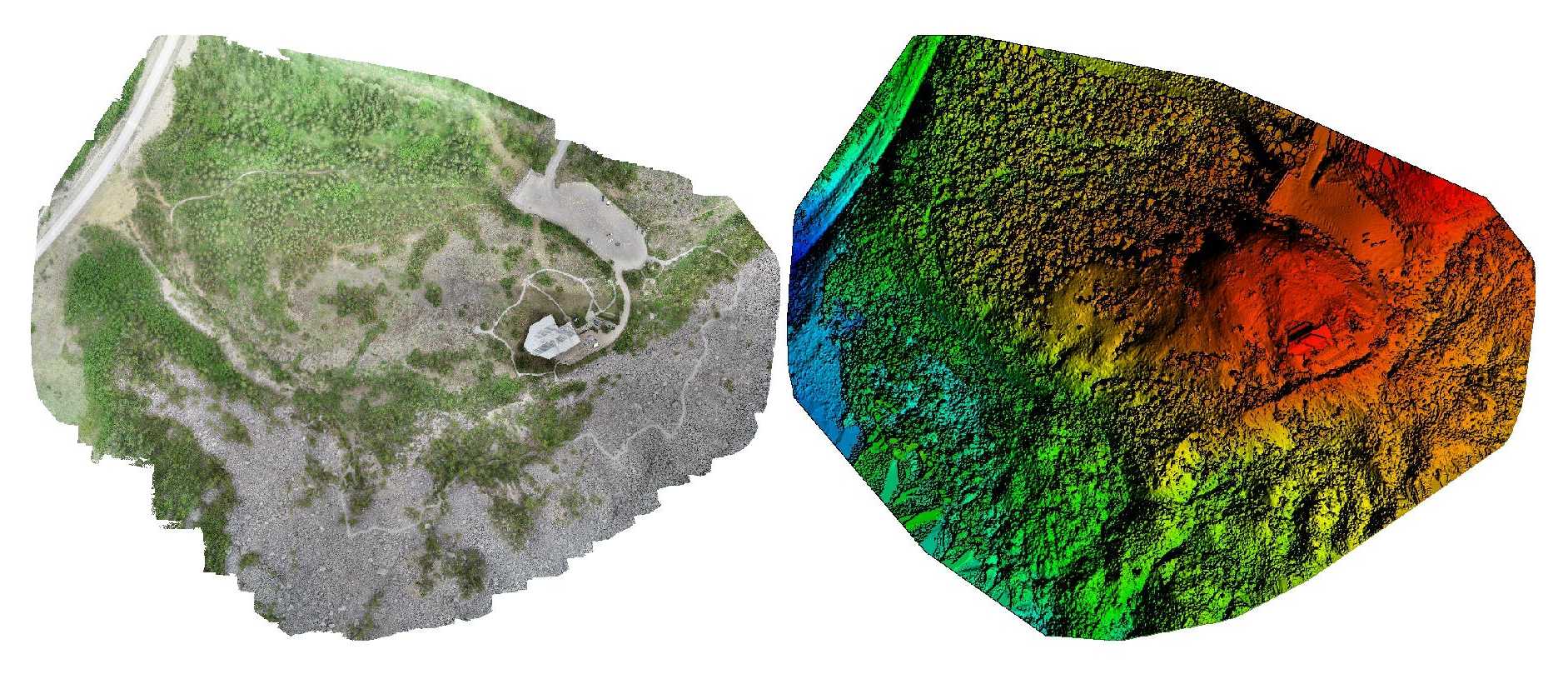 Orthomosaic and Digital Surface Model (DSM) imagery from UAV photogrammetric data