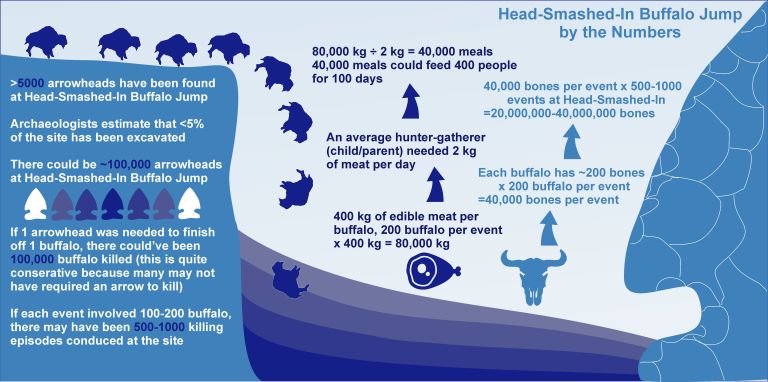 Infographic about Head-Smashed-In Buffalo Jump, showing how the jump works.