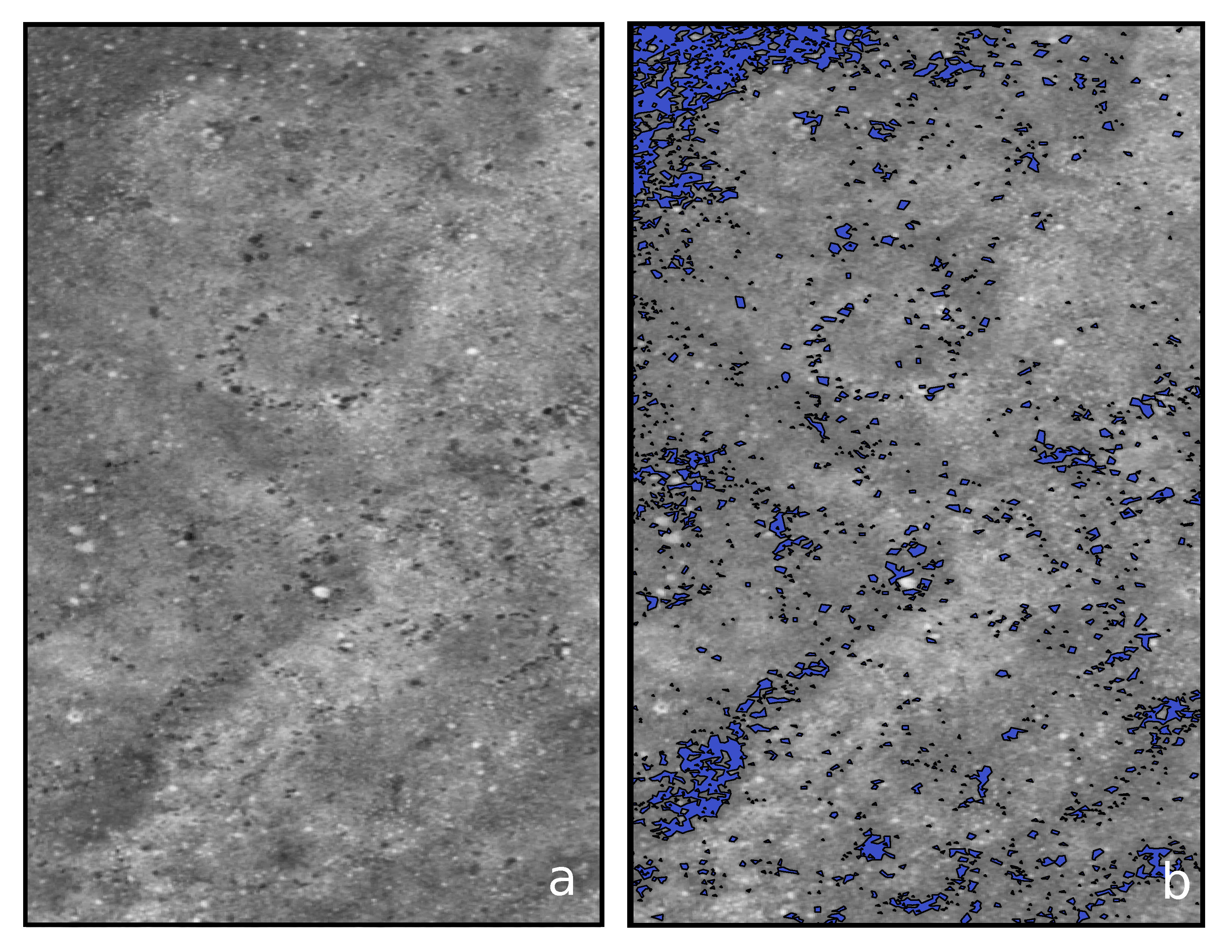 Two NDVI images of archaeological sites EaPd-7 and EaPd-8. First image has no stones outlined with polygons, the second image has polygons drawn around stones that have been extracted from the colour value of the stones to try and identify new stone features.