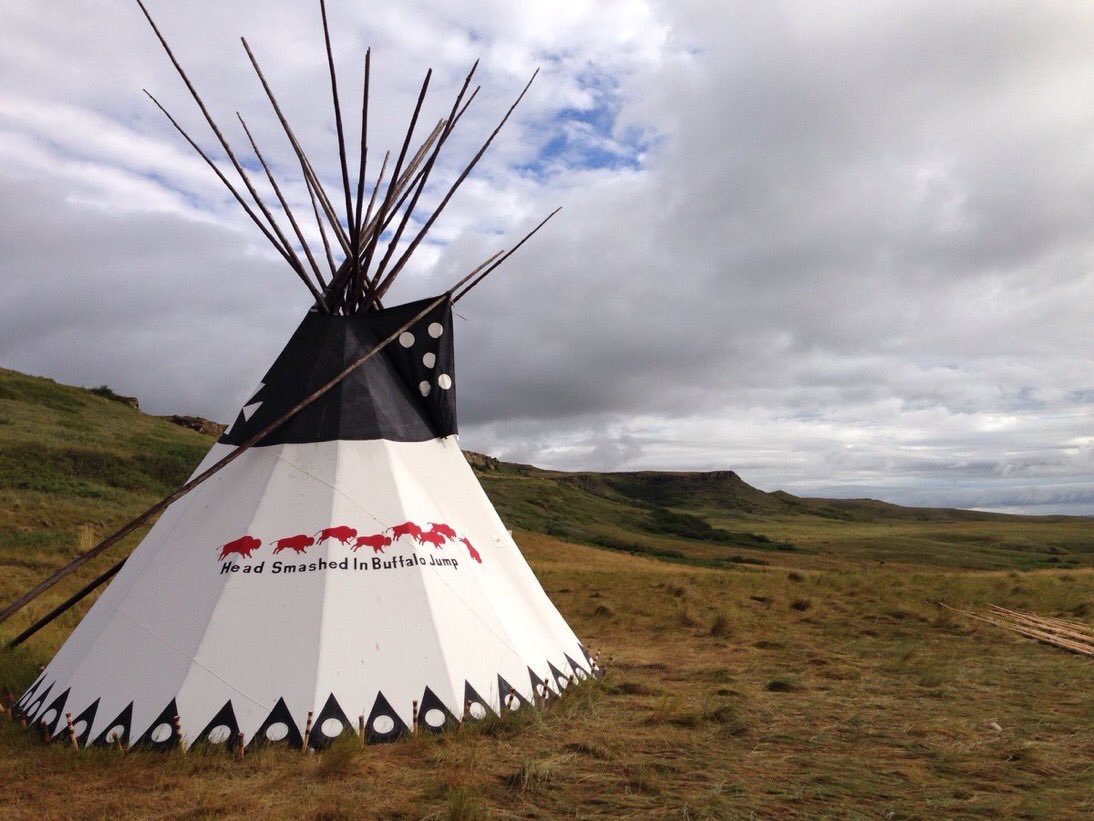 An example of a modern Blackfoot tipi erected at Head-Smashed-In Buffalo Jump.