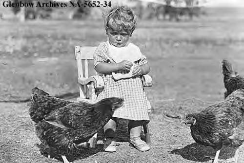 Toddler Ernest Andrews reluctantly feeding chickens at the Bar U Ranch, Pekisko, Alberta, 1923. By Fred Andrews.