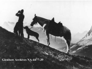 Cowboy with horse and dog on top of Burgess Pass. The cowboy is possibly Yoho park warden Jack Giddie. British Columbia, 1914