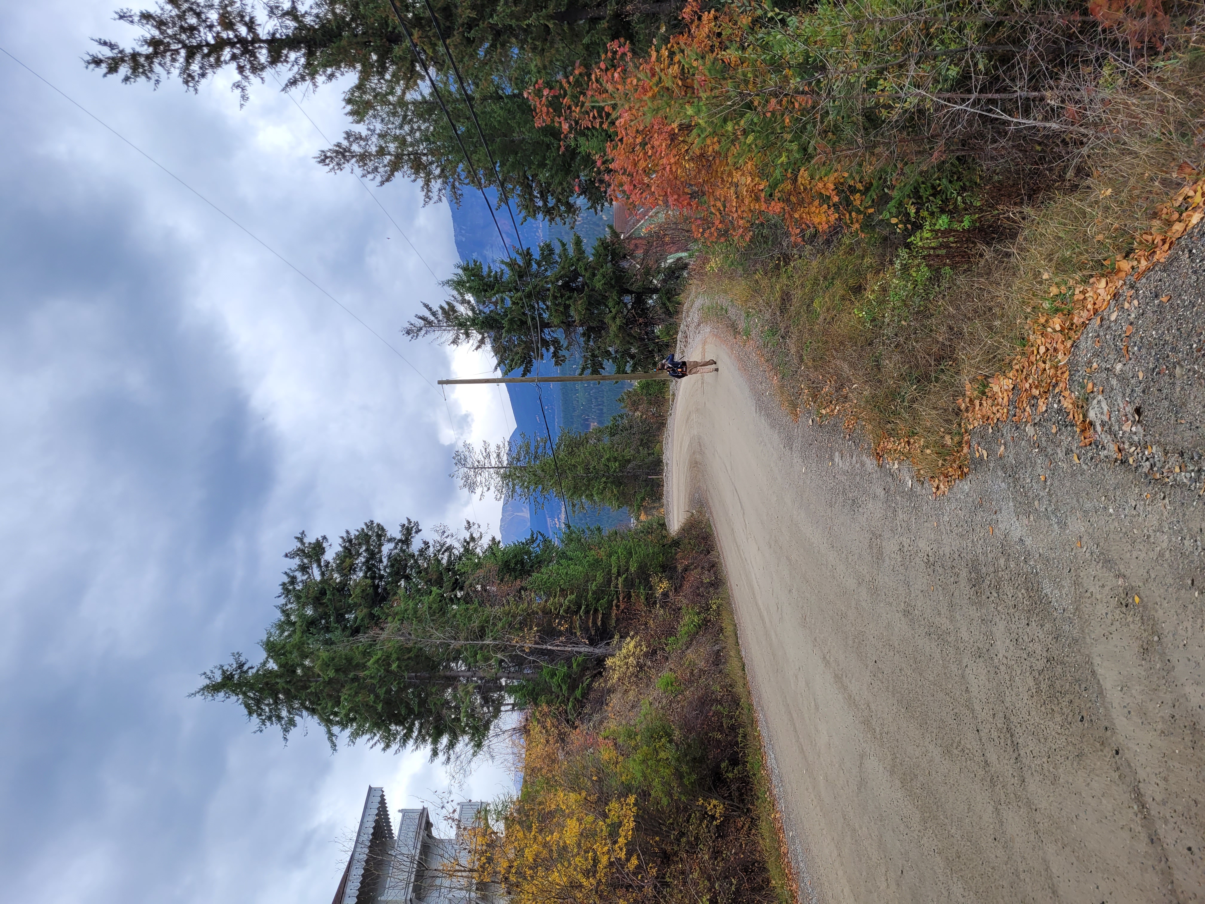 In more modern times, roads have been added for access to the Swiss Village. Dr. Peter Dawson scans them with the GeoSLAM ZEB Horizon laser scanner, pagoda chalet in top left and sunflower chalet to the bottom right. During documentation and renovations in October 2023. From Capture2Preserv project.