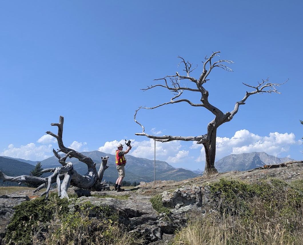 The Burmis Tree during digital documentation with geoSLAM Zeb Horizon laser scanner.