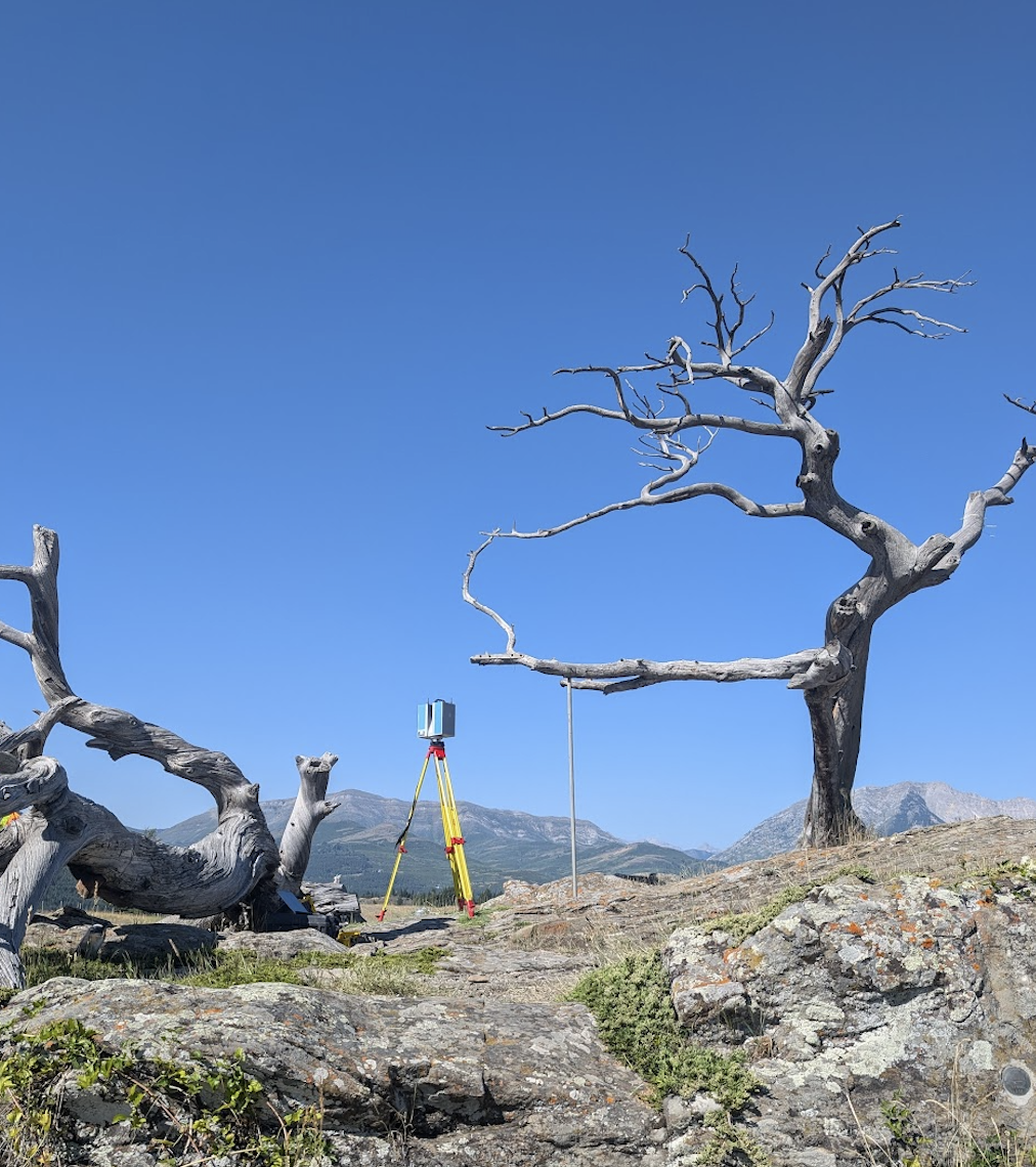 The Burmis Tree during digital documentation with Z+F 5010X laser scanner.